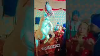 #horse #dance किसान घोड़ी फार्म भांवता (कुचामन डीडवाना )