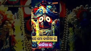 🙏 ଚାରି ଧାମ ଭିତରେ ଗୋଟିଏ ଧାମ 🙏New viral shorts viral