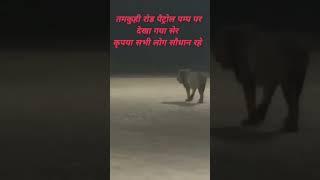 #हमारे यहां तमकुही रोड में शेर है नारायणी पेट्रोल पंपपर#trending #videos #viralvideo #