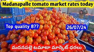 26-07-2024 Madanapalle Tomato Market Rates Today | Madanapalle Tomato Rate | #మదనపల్లె #టమాటా ధరలు