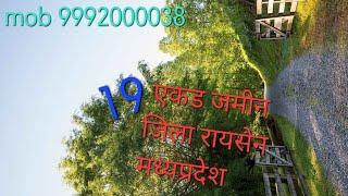 19 एकड़ जिला रायसेन मध्य प्रदेश एग्रीकल्चर लैंड फॉर सेल 9992000038  1350 लाख पर एकड़