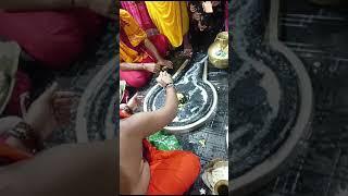 बाबा बैजनाथ संध्या पूजन दर्शन हर हर महादेव 🔱🙏🪔🔱