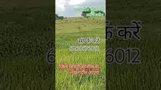 40 ईकढ जमीन 2 लाख रुपए इकढ में है लखनादौन तैसी जिला सिवनी 6260676012