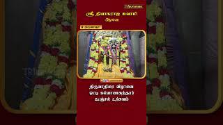 திருவாரூர் ஸ்ரீ தியாகராஜ சுவாமி ஆலய திருவாதிரை விழாவை ஒட்டி கல்யாணசுந்தரர் ஊஞ்சல் உற்சவம்