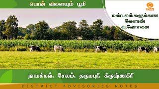 நாமக்கல், சேலம், தருமபுரி, கிருஷ்ணகிரி | Agri Advisories Notes