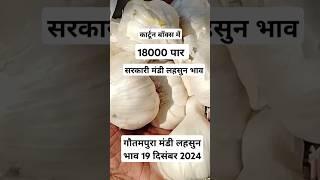 गौतमपुरा मंडी लहसुन भाव 19 दिसंबर 2024