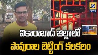 వికారాబాద్ జిల్లాలో పావురాల బెట్టింగ్  కలకలం  | Pigeon betting At Vikarabad District | Swatantra Tv