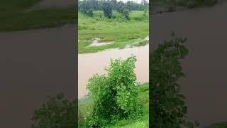 izri river durgapur Chas Bokaro # tranding video 📸