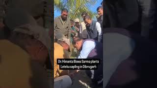 Himanta Biswa Sarma Plants Leteku Sapling in Dibrugarh, Promotes Green Assam