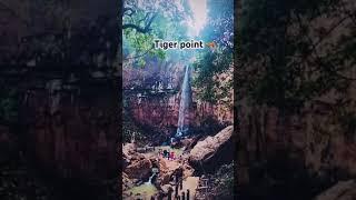 Mainpat Ambikapur taigar point short video