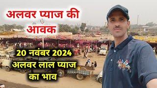 20 नवंबर 2024 खैरथल प्याज मंडी की आवक | khairthal pyaj Mandi report  | alwar onion report