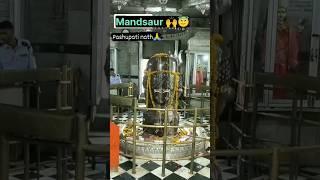 पशुपतिनाथ मंदिर, मंदसौर मध्य प्रदेश