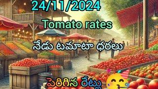 tamato rates 24.11.2024 v కోట, కోలార్, వాడపల్లి, మదనపల్లి, కలకరి, కలకడ, పలమనేరు, వాడపల్లి