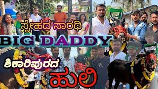 ಶಿಕಾರಿಪುರ ಹುಲಿ || ಸ್ನೇಹದ ಸಾರಥಿ BIG DADDY bull interview ಶಿಕಾರಿಪುರದ ಹುಲಿ ಜೀವನ ಚರಿತ್ರೆ 🚩🚩🚩🚩