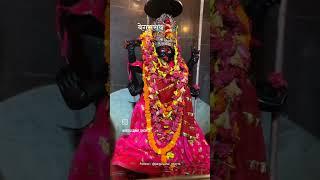 जय माता दी मां काली मंदिर बेगूसराय🌹🌹मां के शरण में विश्वास से जो आता है उसका मुरादा पूरा हो जाता है🙏