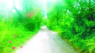 Jammu Kashmir poonch of road video #poonch #jammukashmir #jk S̈̇ 😱😱😱