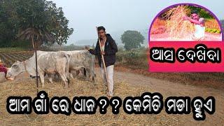 ଗାଁ ରେ ଧାନମଡା?? ହୁଏ #କନ୍ଧମାଳ #k.kcreation!! please subscribe #like share