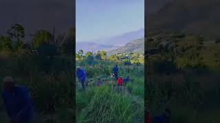 Assu Traditional grass cutting in Poonch jammu and kashmir | jkculture