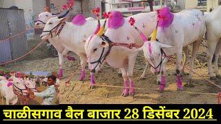 चाळीसगाव बैल बाजार live 🔴 28 डिसेंबर 2024 || Chalisgaon bail bajar 👑