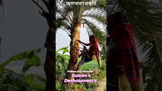 শীতের আগমনী বার্তা । Amazing View Of Bangladesh ।