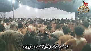 25 Muharram 2024 | Tall Qasim Shah  Haripur | Markazi Matmi Dasta Hazara Division