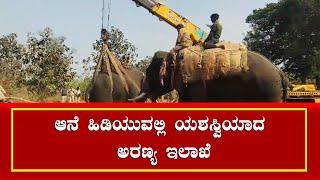 Forest Department Successfully Captures Problematic Elephant in Khanapur