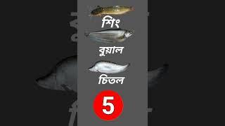 বাংলা মজার ধাঁধা তিনটি মাছের নাম দিয়ে বলতে হবে একটি প্রাণীর নাম