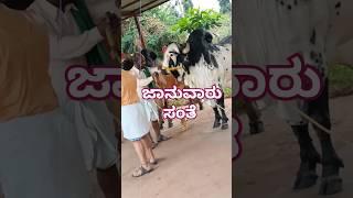 ದಾವಣಗೆರೆ ಕಲಾ ಕಾಲೇಜಿನಲ್ಲಿ ಕಲಾಕೃತಿಗಳು