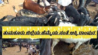 ತುಮಕೂರು  ಜಿಲ್ಲೆಯ  ಹೆಮ್ಮೆಯ ಸಂತೆ ಅಕ್ಕಿ ರಾಂಪುರ AGRIANIMALS 23*11*2024