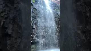 Kapilteertham waterfalls | Tirupati | Andhra pradesh