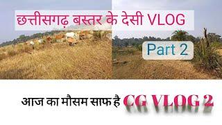 छत्तीसगढ़ बस्तर के देसी VLOG आज का मौसम साफ CG VLOG पार्ट 2🙏