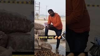 🔥आलू 🥔🔥 पुखराज 🔥 आगर मंडी भाव 🔥 आलू में तेजी 🔥🔥 का माहौल 🔥