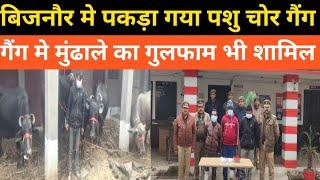 मुंढाले के बदमाश से पुलिस की मुठभेड़jago india tv bijnor