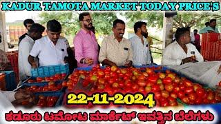 |Kadur| |today, 22/11/2024| tomato rate. ಕಡೂರು ಟಮೋಟ ಮಾರುಕಟ್ಟೆಯ ಟಮೋಟ ಬೆಲೆ ಎಷ್ಟುಗೊತ್ತಾ...?