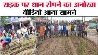 Kursakanta News :  कुर्साकांटा अररिया मुख्य सड़क पर ग्रामीणों ने की धान की रोपाई