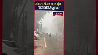 Haryana में छाई जबरदस्त धुंध, Visibility हुई कम | Ambala | Weather