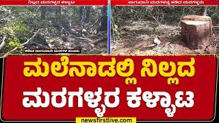 Shivamogga Incident : ಮಲೆನಾಡಲ್ಲಿ ನಿಲ್ಲದ ಮರಗಳ್ಳರ ಕಳ್ಳಾಟ | Forest Thieves |newsfirstkannada