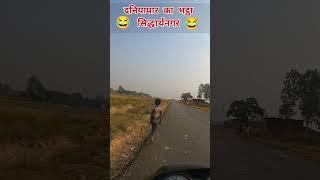 दनियापार का भट्ठा सिद्धार्थनगर