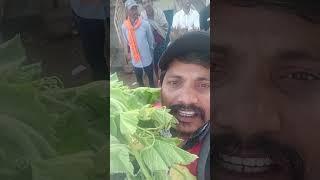 హుకుంపేట సంత..