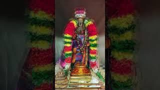 ஸ்ரீரங்கம் நம்பெருமாள் SarvamNee