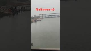 शिवरीनारायण नदी #river #cg #cghitts #song #ganga #vlog #nature 🏞️🏞️🏞️🏝️🌴🌴🌴🌴