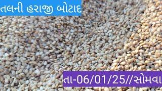 06/01/25//botad marketing yard/*તલ ની હરાજી// બોટાદ માર્કેટિંગ યાર્ડમાં