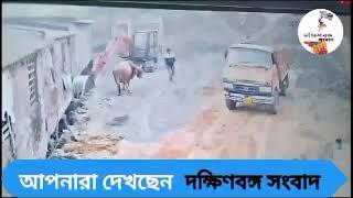 পূর্ব মেদিনীপুর জেলা খেজুরি থেকে দিনের আলোয় ষাঁড় চুরির সিসিটিভি ভিডিও দেখুন।