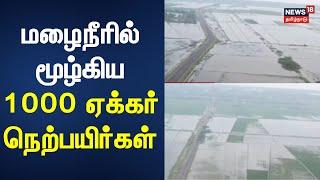 Tiruvarur | சுமார் 1000 ஏக்கர் பயிர்கள் நீரில் மூழ்கியதால் விவசாயிகள் வேதனை | Rain Alert