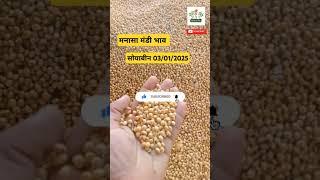 मनासा मंडी सोयाबीन का भाव ।#soyabeanbajarbhav #soyabean_rate_today #mandibhav E_kisaan