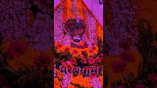 जय खाटू श्याम जी #खाटूश्यामस्टेटस #pleasesubscribe #सीकर राजस्थान