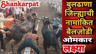 बुलढाणा जिल्ह्यातील नामांकित बैलजोडी | ओमकार आणि लक्ष्या | #Shankarpat |  animal race in India | pat