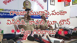 కావలి,పీజీ,కాలేజ్,దగ్గర్లో,పట్టుపడ్డ,గంజాయి,ముఠాపై పంజా విసిరిన,2టౌన్ సిఐ, గిరిబాబు//*JRK NEWS *//