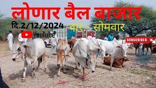 LONAR BAIL BAJAR|लोणार बैल बाजार दि.2/12/2024 शेतकऱ्याचे व व्यापारी बैल आले विक्रीला