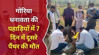 उदयपुरवाटी से बड़ी खबर Udaipurwati News Jhunjhunu Neemkathana